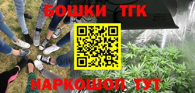прущие крисы Кингисепп