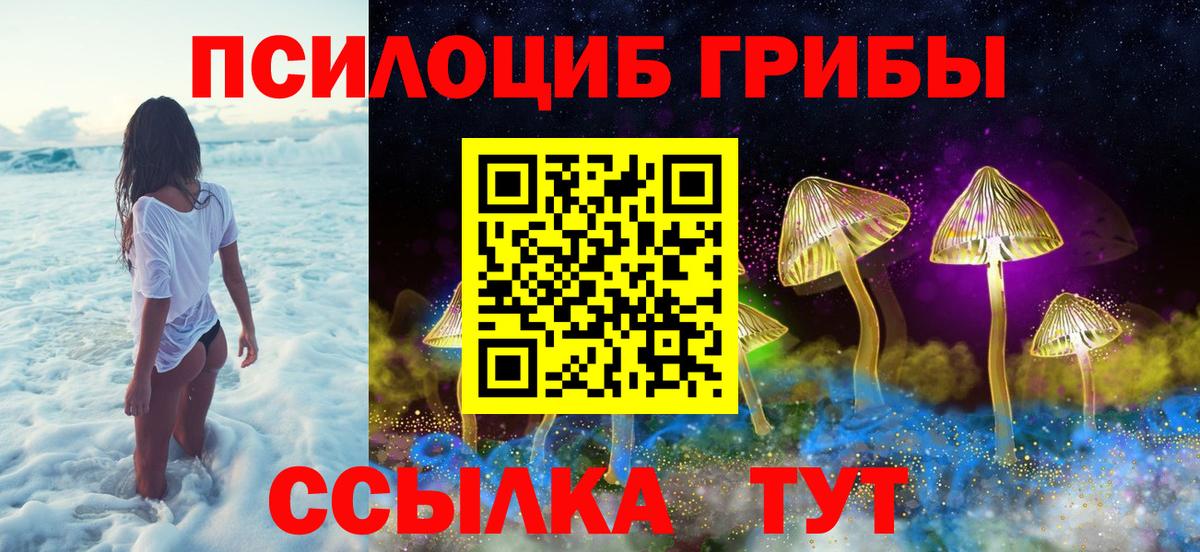 Псилоцибиновые грибы GOLDEN TEACHER Шарыпово