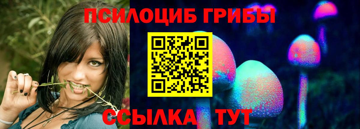 Псилоцибиновые грибы мухоморы  магазин продажи наркотиков  Шарыпово  Вход с VPN 
